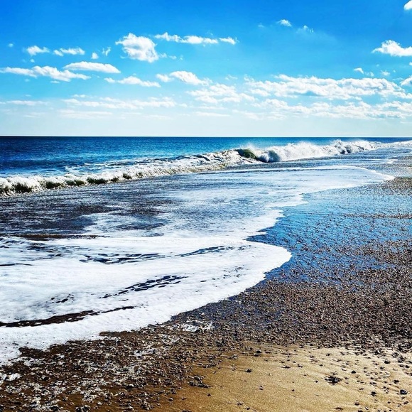 Meet your Posher, Terry - Picture 2 of 2